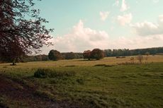 B-Herbststimmung 018.jpg